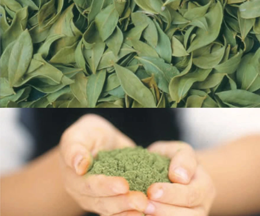 美と健やかさを引き出すヘアケア